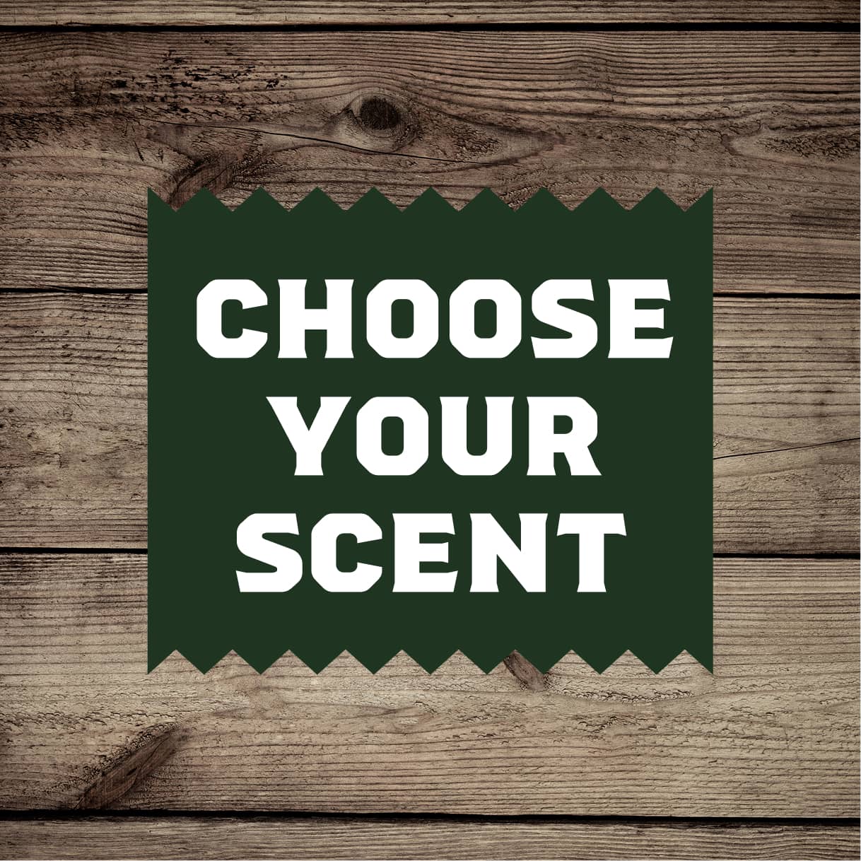 Dr. Squatch Soap Shower Set - Image 2
