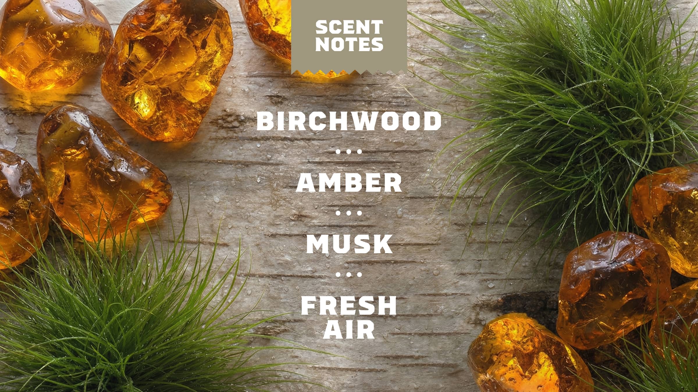 Dr. Squatch Soap Birchwood Breeze Spray Deodorant - Image 4