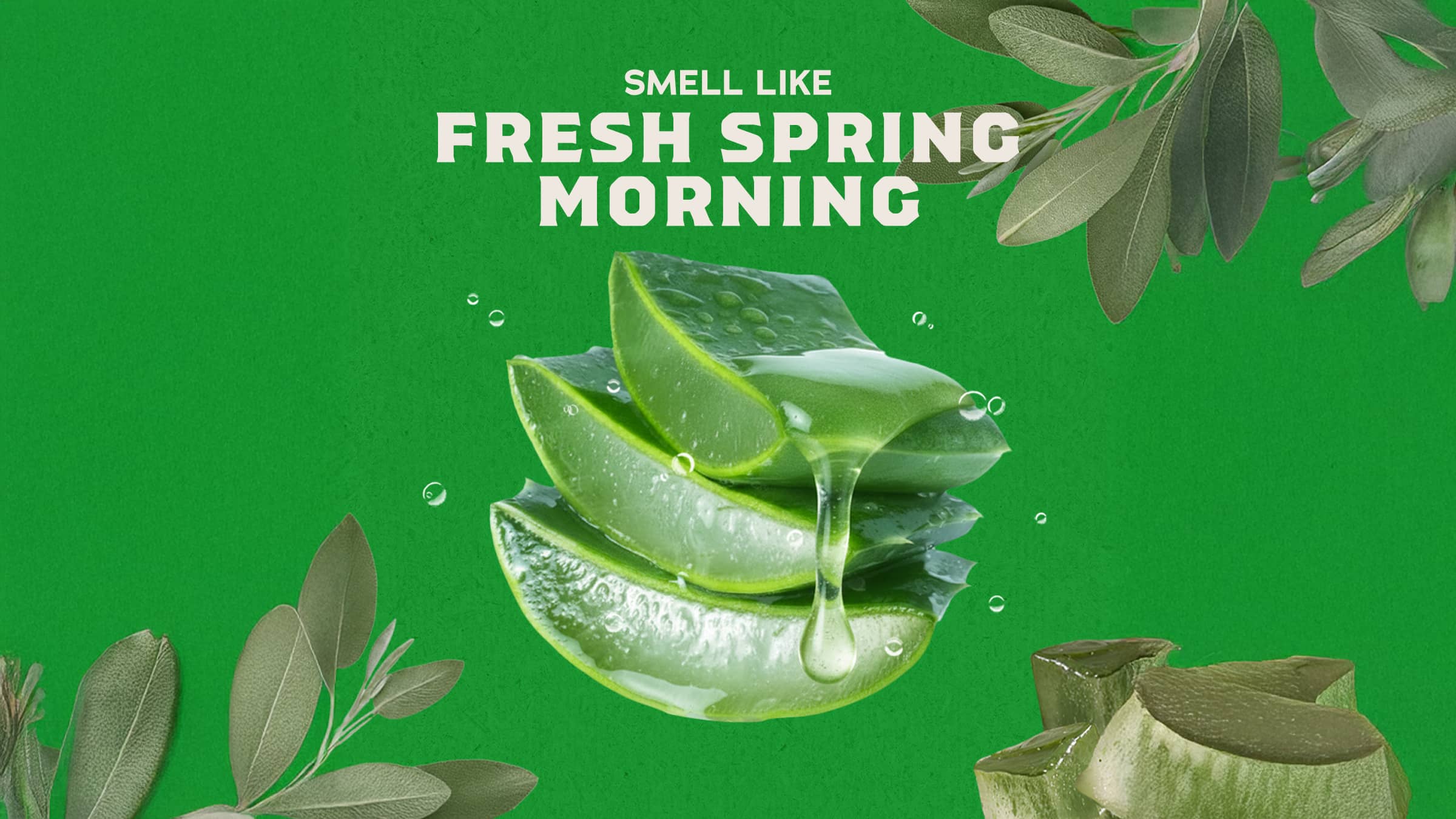 Dr. Squatch Soap Cool Fresh Aloe Shampoo - Image 4