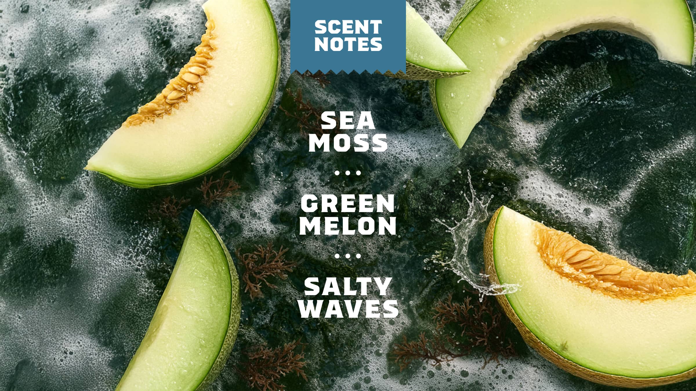 Dr. Squatch Soap Coastal Mist Spray Deodorant - Image 4