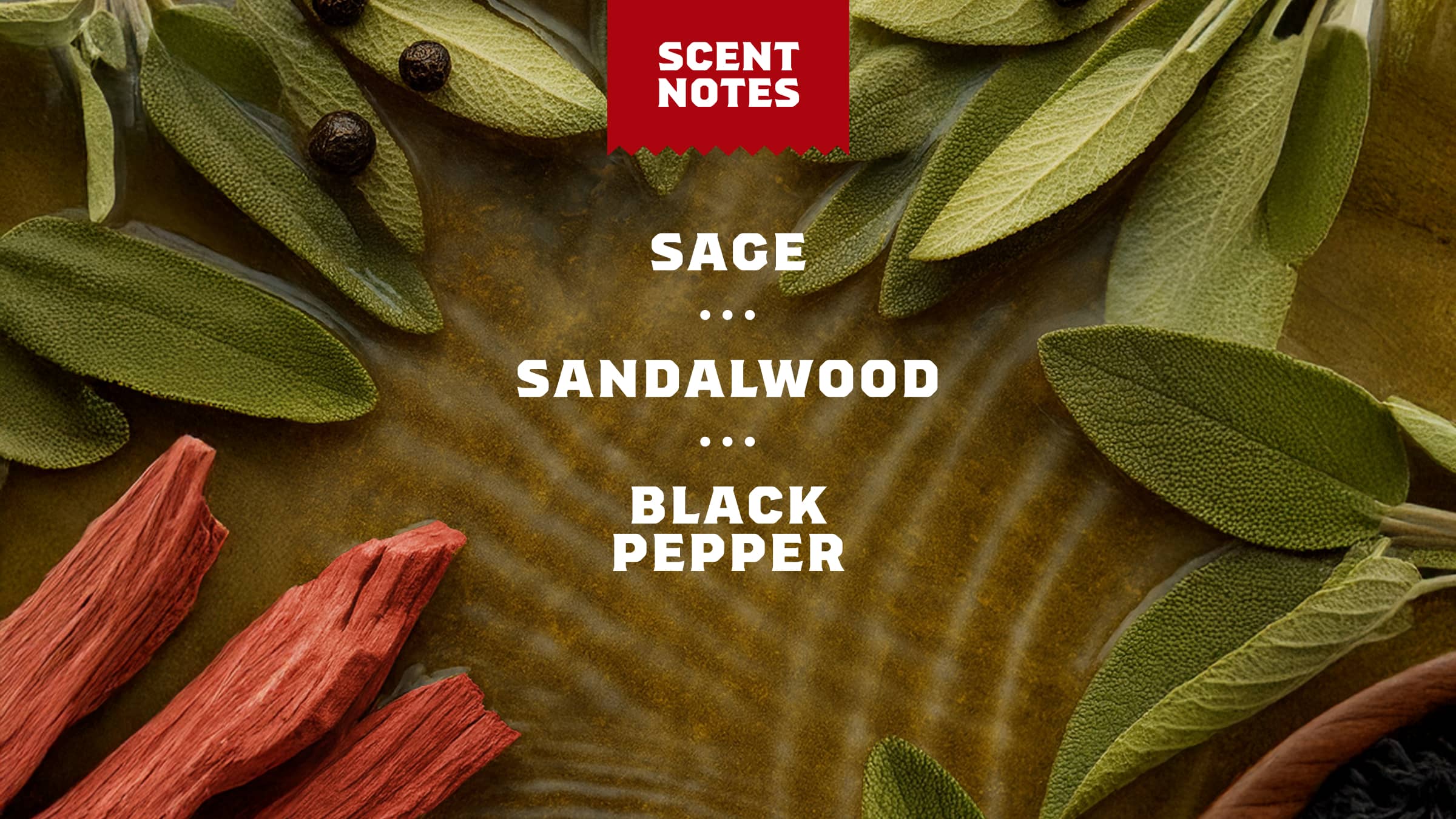 Dr. Squatch Soap Sandalwood Summit Invisible Glide Deodorant - Image 5