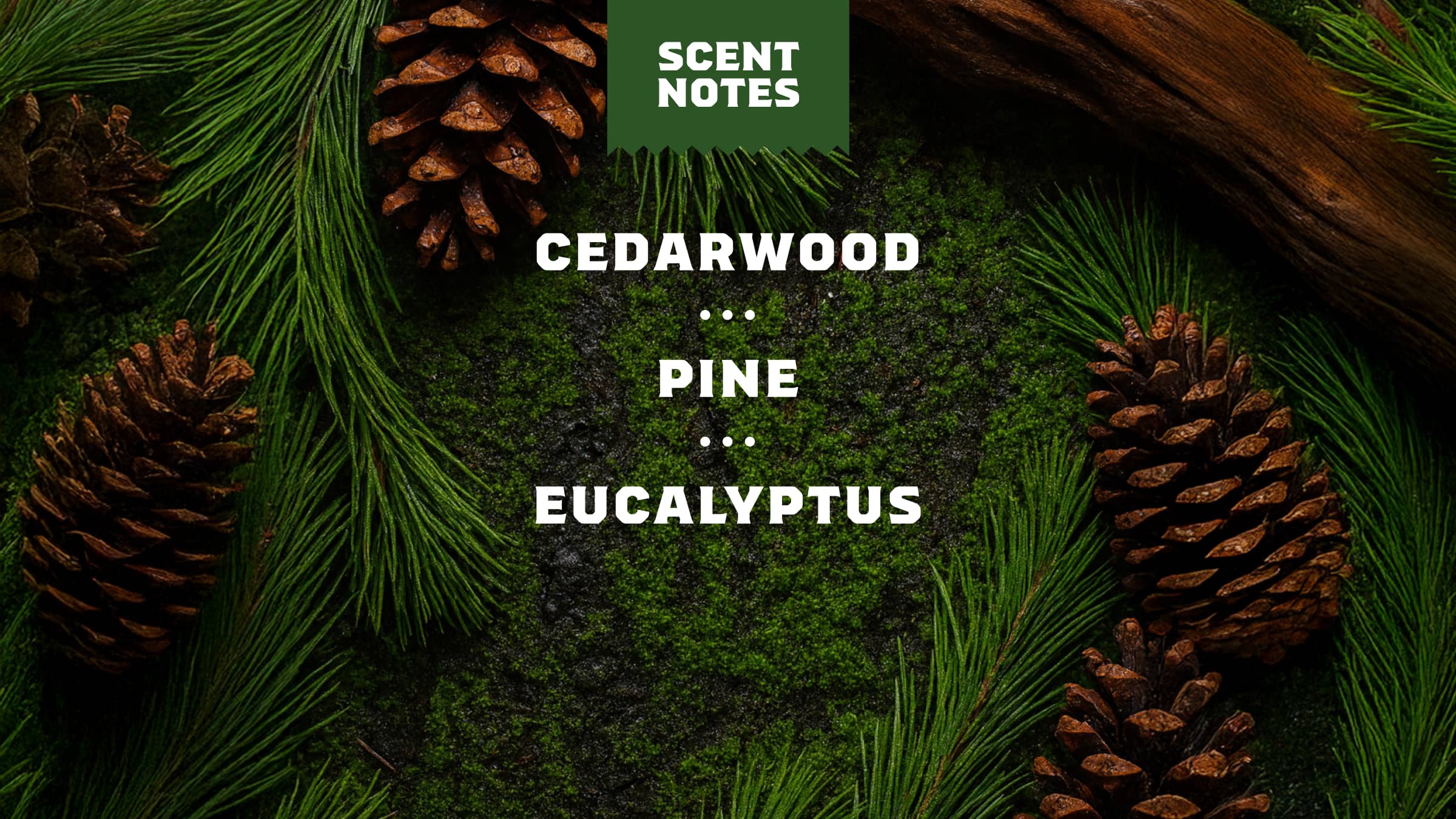 Dr. Squatch Soap Soothing Post Shave Pine Tar - Image 3