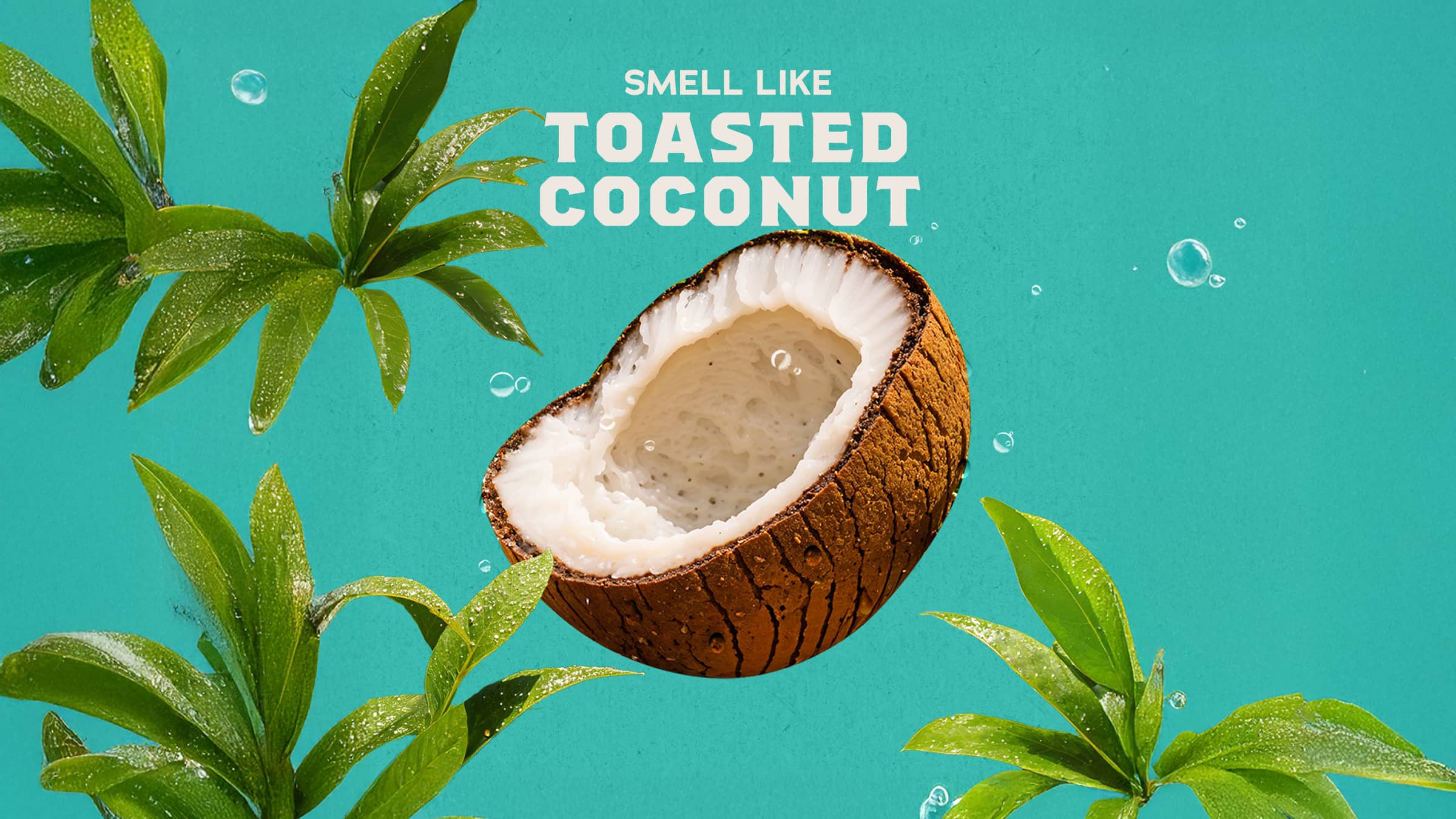 Dr. Squatch Soap Coconut Castaway - Image 3