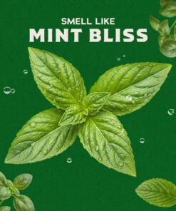 Alternative view of Dr. Squatch Soap Spearmint Basil
