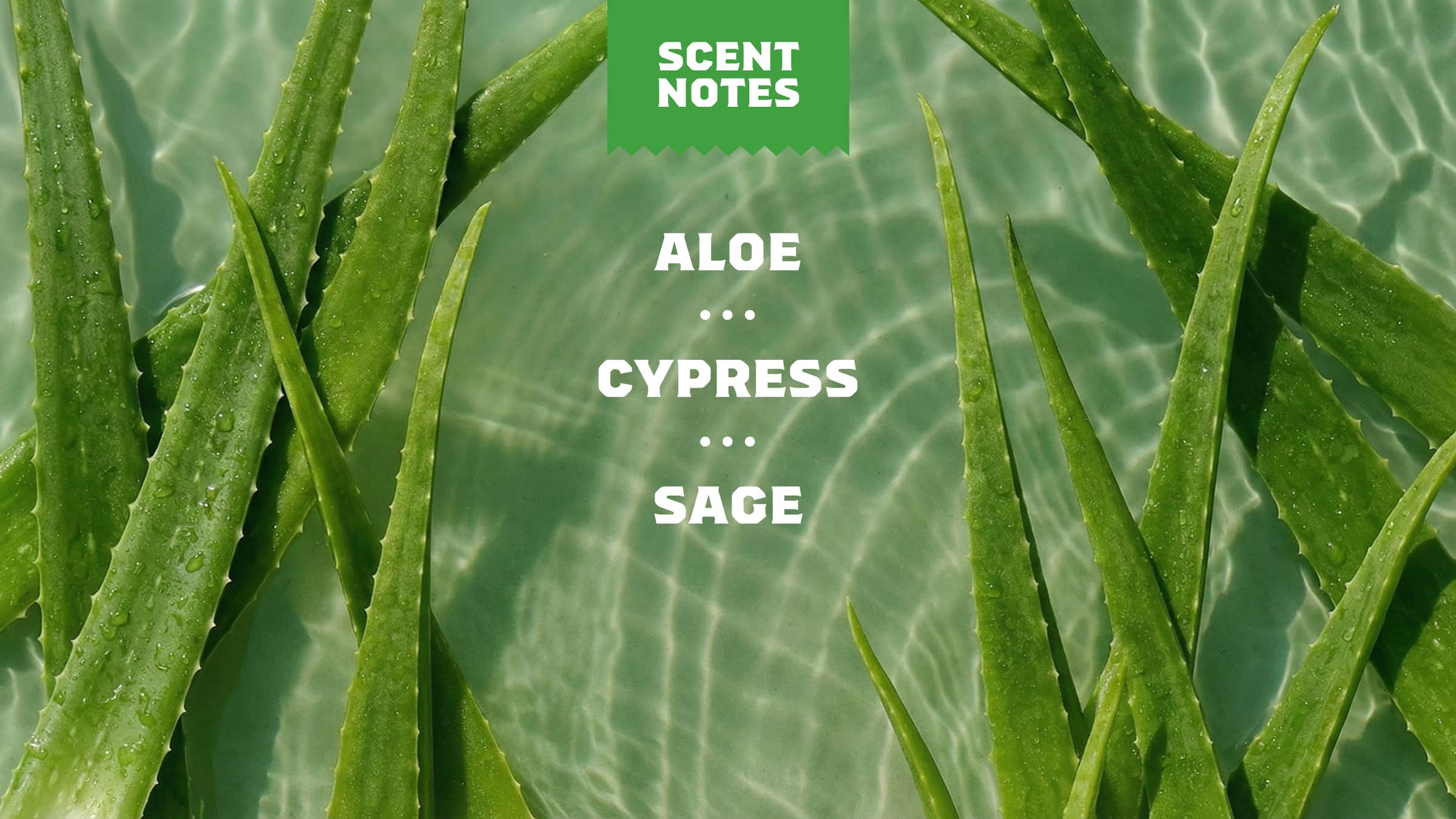 Dr. Squatch Soap Cool Fresh Aloe Conditioner - Image 4