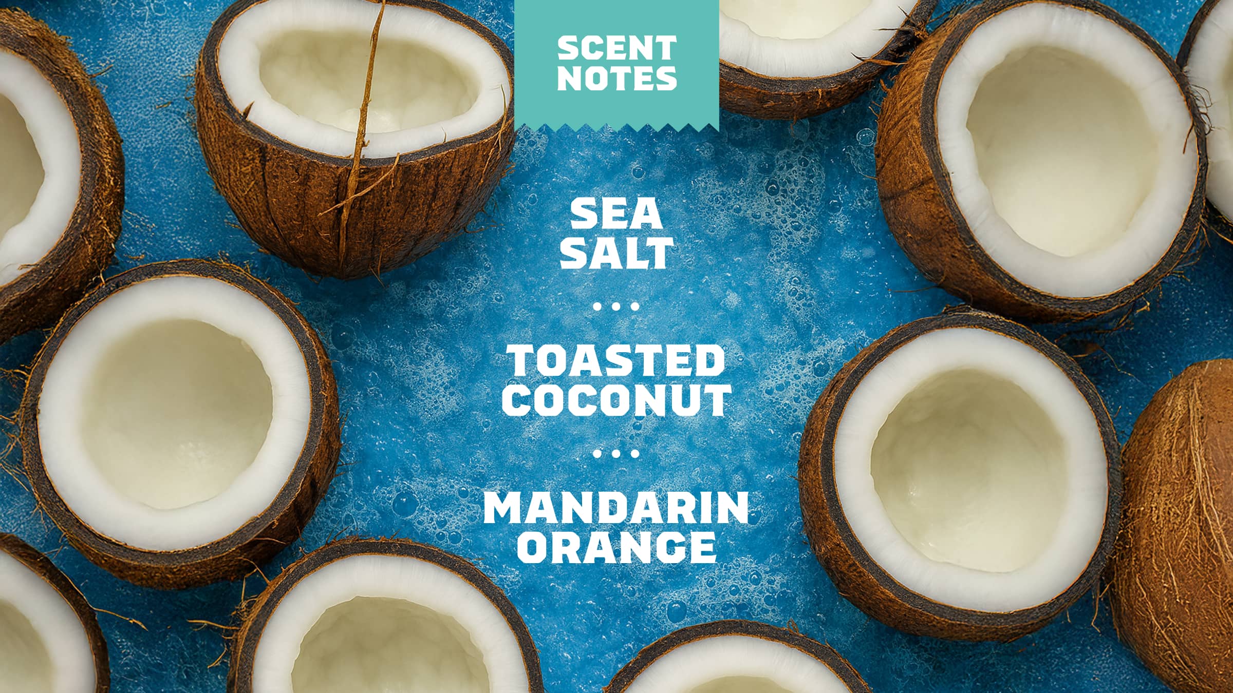 Dr. Squatch Soap Coconut Castaway Shampoo - Image 4