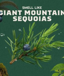 Alternative view of Dr. Squatch Soap Sierra Storm Invisible Glide Deodorant