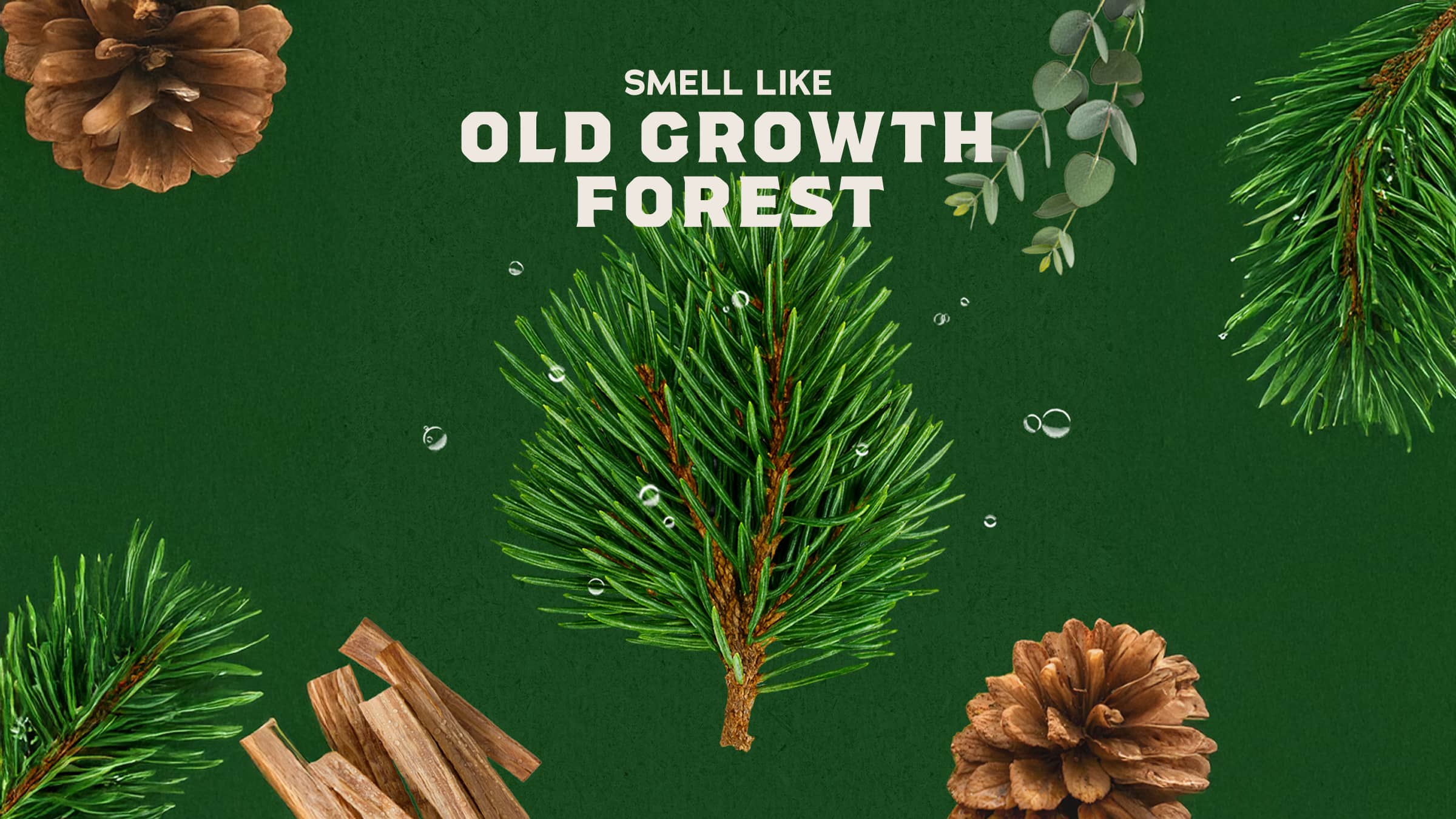 Dr. Squatch Soap Pine Tar - Image 3
